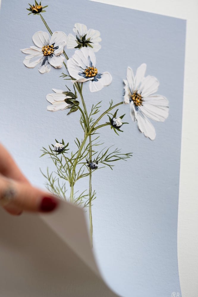 Image of Cosmos On Blue - Giclée Print