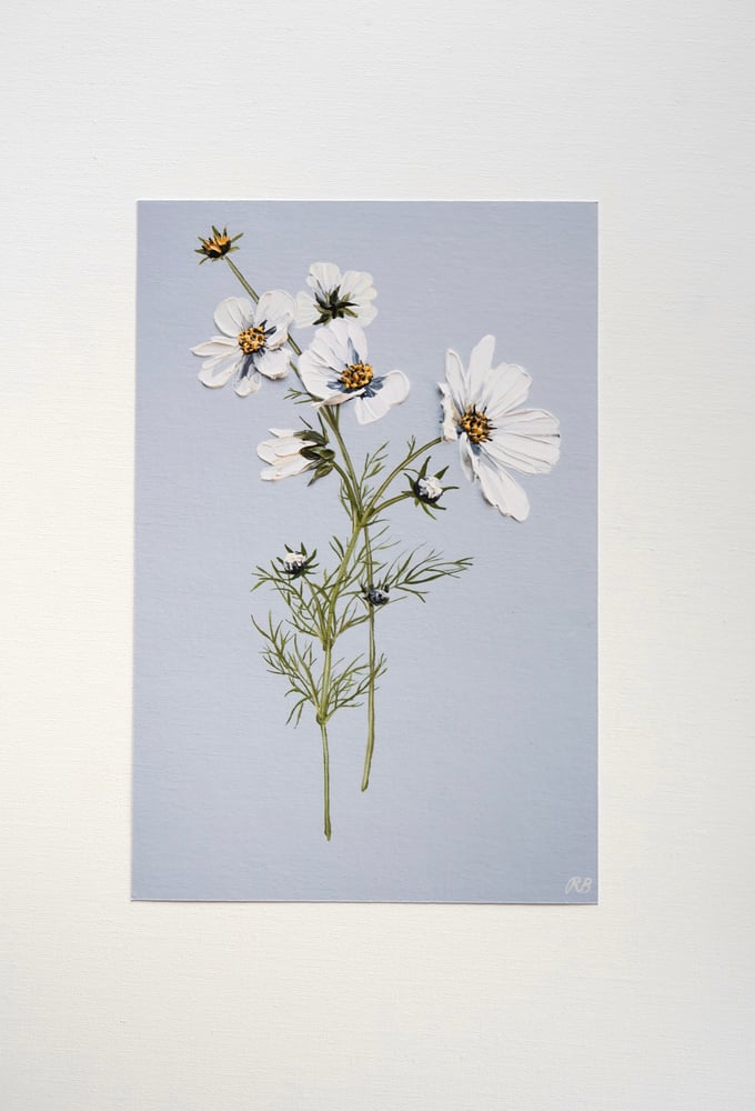 Image of Cosmos On Blue - Giclée Print