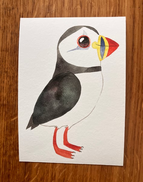 Image of The Puffin