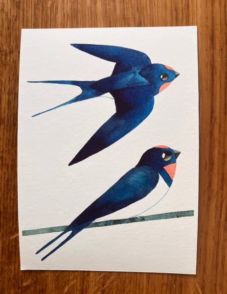 Image of Two Swallows