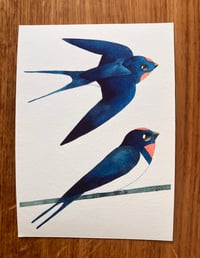 Two Swallows