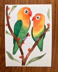 A Right Pair Of Lovebirds