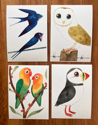 Flock of Small Bird Prints 
