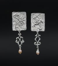 Image 2 of Botanical reliefs