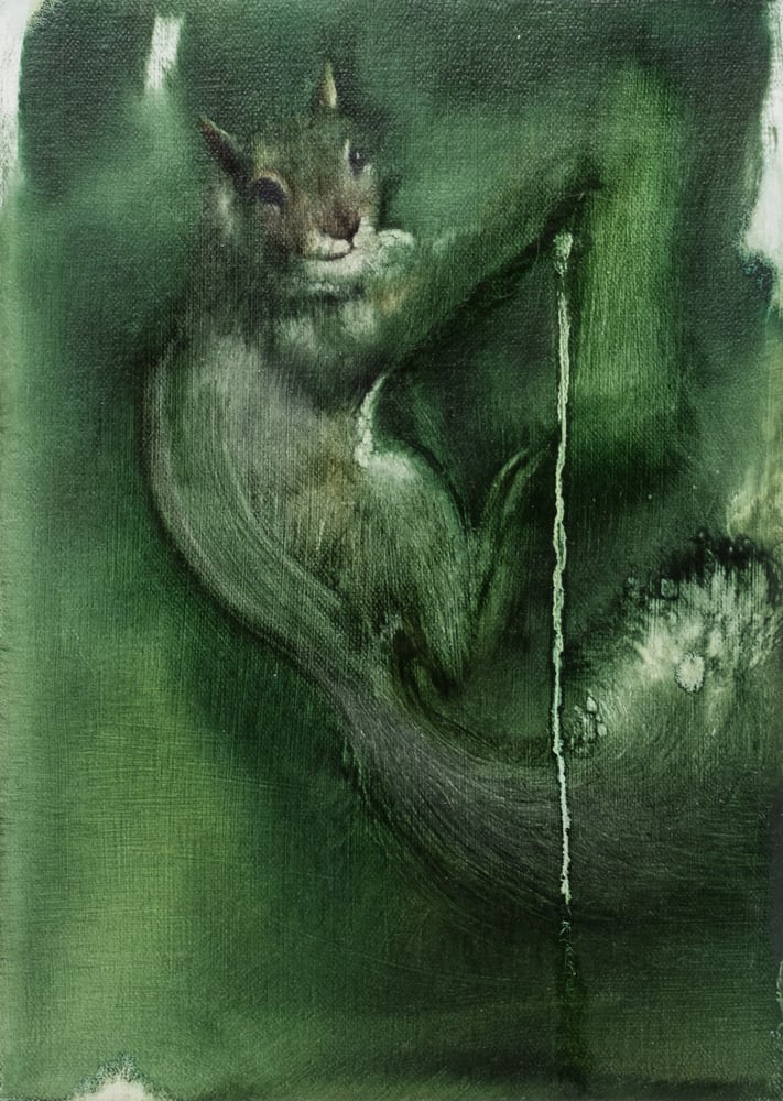 Image of The Duke's Whim