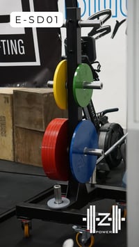 Image 2 of Rack Portadischi Aumentato (E-SD01)