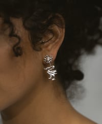 Image 2 of Secret swamp