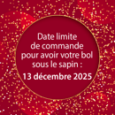 Image 2 of bol breton personnalisable - CUSTOMIZABLE BRETON BOWL