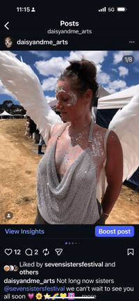 Image 5 of Theatre / Performance or Stage Creations 