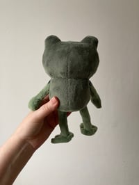 Image 5 of Small - Frog Of Many Names Plushie - OTGW - made to order