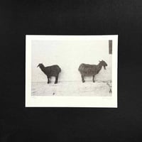 Image 1 of Risograph print 005