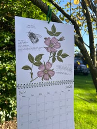 Image 5 of 2026 Hedgerow Calendar