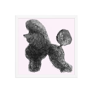 Image of POODLE