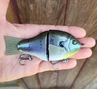 Image 1 of 5" Roof gill (female gill)