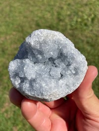 Image 2 of Celestite Cluster Specimen #1929
