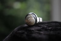 Image 3 of Dead Good snail shell ring