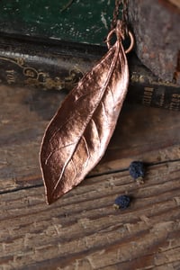 Image 2 of Vera foglia di alloro elettroformata in rame con finitura lucida