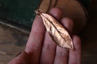 Image 1 of Vera foglia di alloro elettroformata in rame con finitura lucida