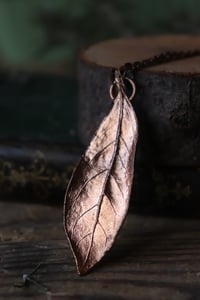 Image 3 of Vera foglia di alloro elettroformata in rame con finitura lucida