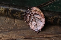 Image 3 of Vera foglia di rosa elettroformata in rame con finitura ossidata