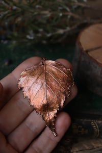 Image 2 of Vera foglia di betulla elettroformata in rame con finitura leggermente ossidata