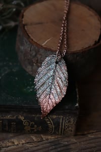 Image 2 of Vera foglia di rovo elettroformata in rame con patina sfumata teal