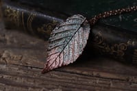 Image 1 of Vera foglia di rovo elettroformata in rame con patina sfumata teal