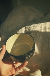 Image 4 of mug // moths