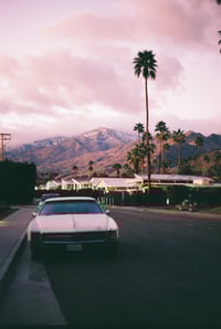 Palm Springs