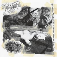 Anal Birth / Epiploenterocele Pusliquid Wormchunk - Split CS