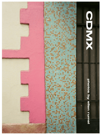 Image 1 of CDMX zine