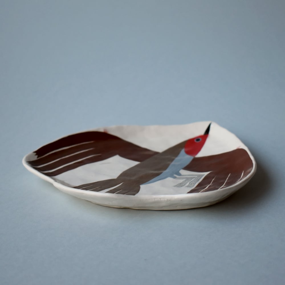 Image of Robin II Plate