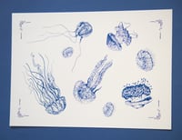 Image 1 of Les méduses/ The jellyfish 