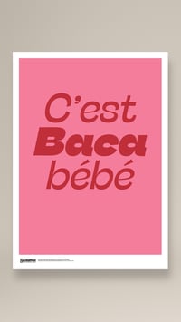 Image 3 of Affiche BACA - modèle 5