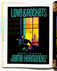 Image 4 of Love and Rockets Covers Collection