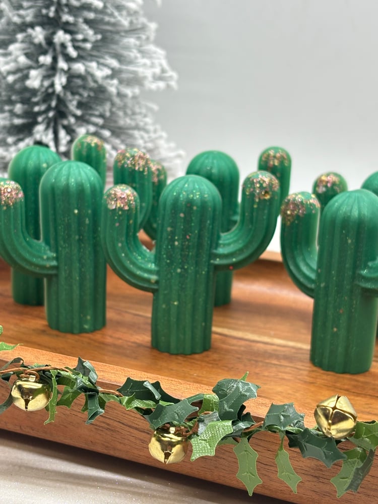 Image of Baja Cactus Blossom