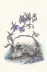 Image 2 of Skull and Flowers
