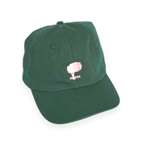 Image 1 of Classic 6 Panel - Bottle