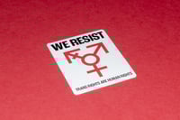 Image 2 of WE RESIST Trans+ Rights Stickers