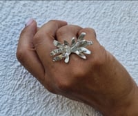 Image 3 of Anillo Colección ALGAS. Plata oxidada o plata blanqueada.