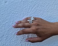 Image 4 of Anillo Colección ALGAS. Plata oxidada o plata blanqueada.