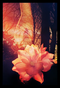 GN 2025 edition print