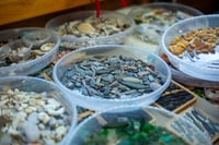 Image 2 of Beach Things Two