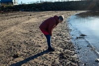 Image 3 of Beach Things Two