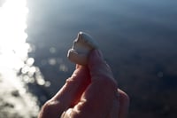 Image 5 of Beach Things Two