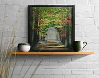 Image 5 of 'Woodland Wanderings'