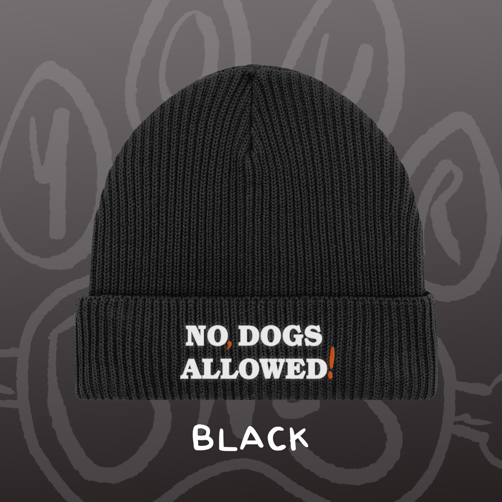 Image of NO, DOGS ALLOWED! - Fisherman Beanie
