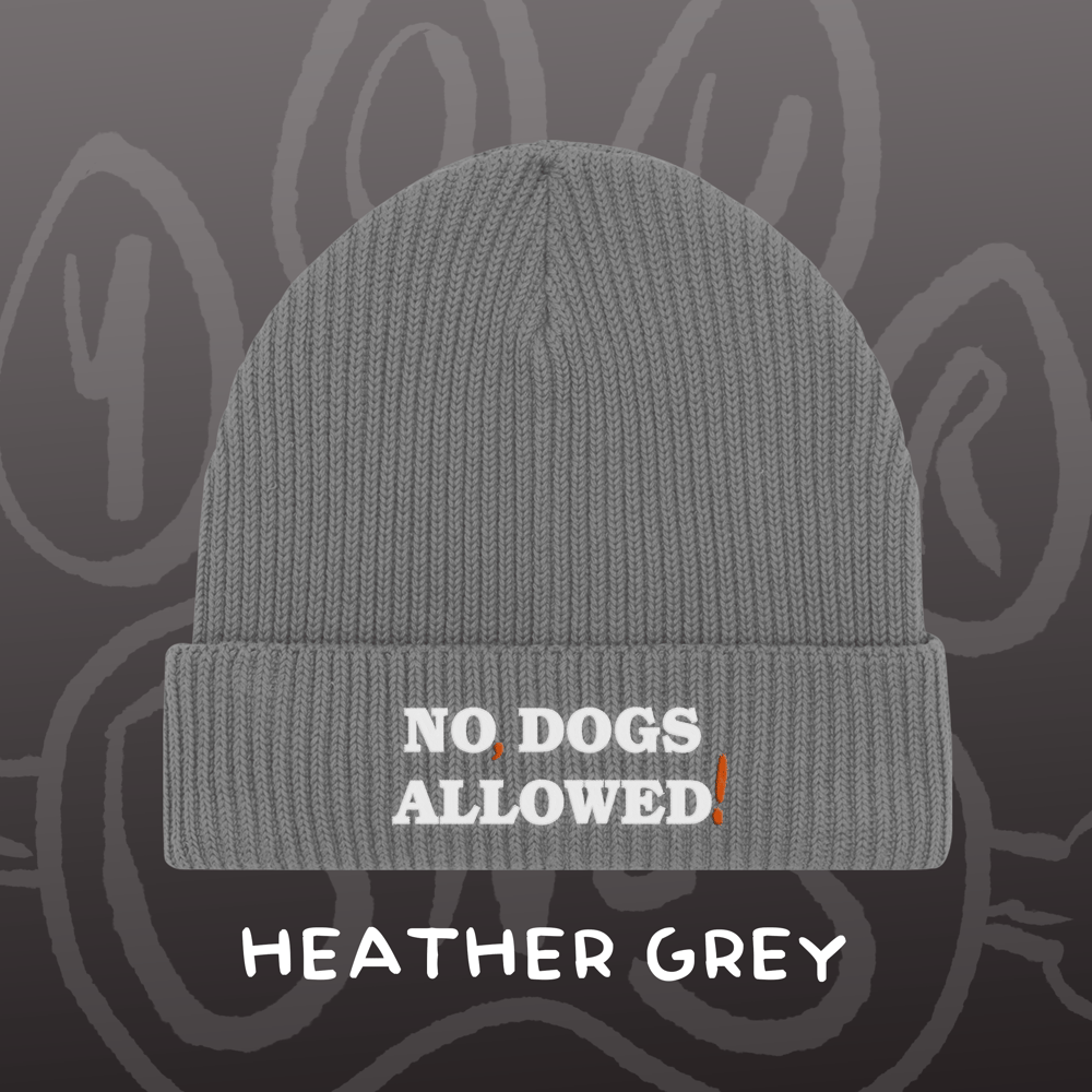 Image of NO, DOGS ALLOWED! - Fisherman Beanie