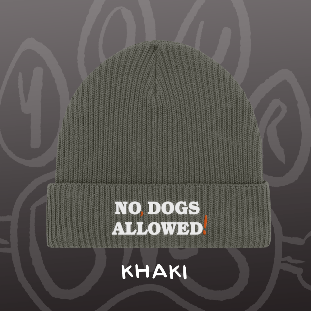 Image of NO, DOGS ALLOWED! - Fisherman Beanie