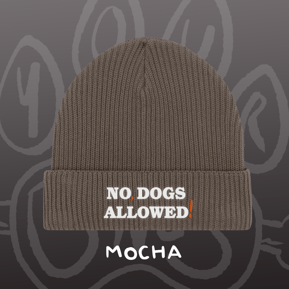Image of NO, DOGS ALLOWED! - Fisherman Beanie